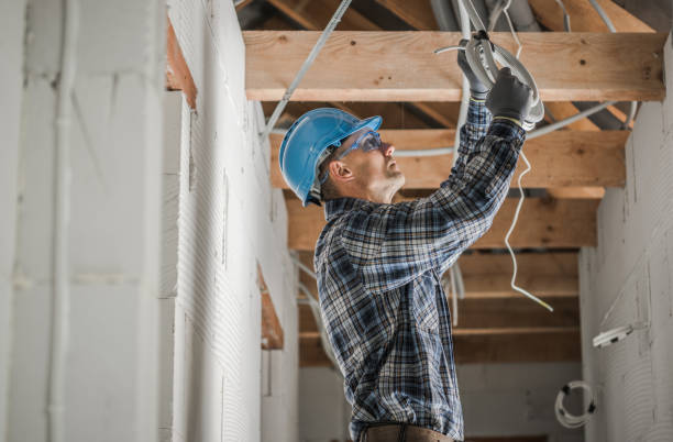 Best Home Electrical Repair  in Fredonia, NY