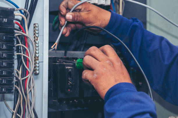 Best Electrician for Home Renovation  in Fredonia, NY