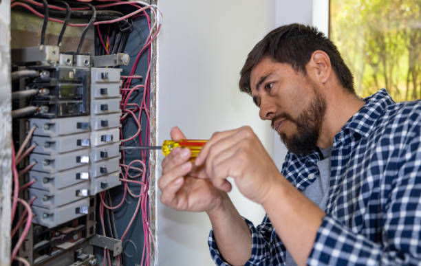 Best Generator Installation Services  in Fredonia, NY
